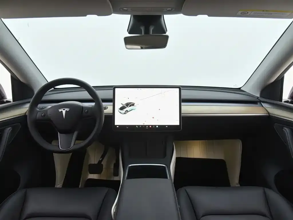 Tesla Model Y 2021 из CN, фото 9