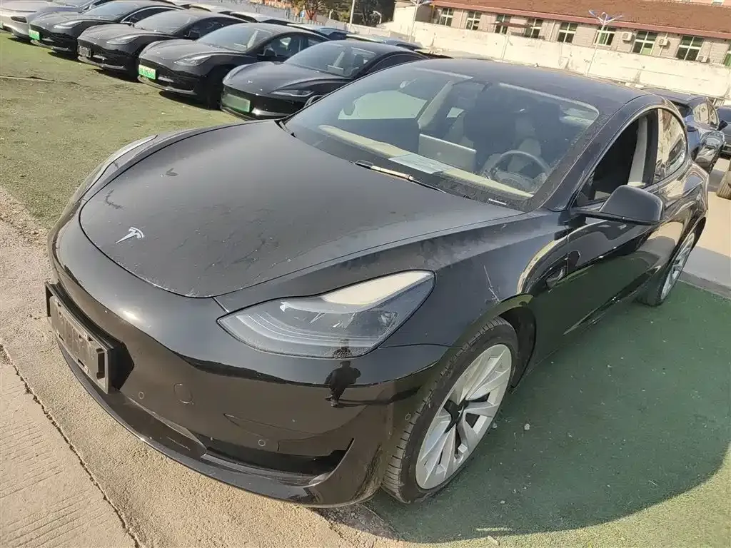 Tesla Model 3 2021 из CN, фото 6