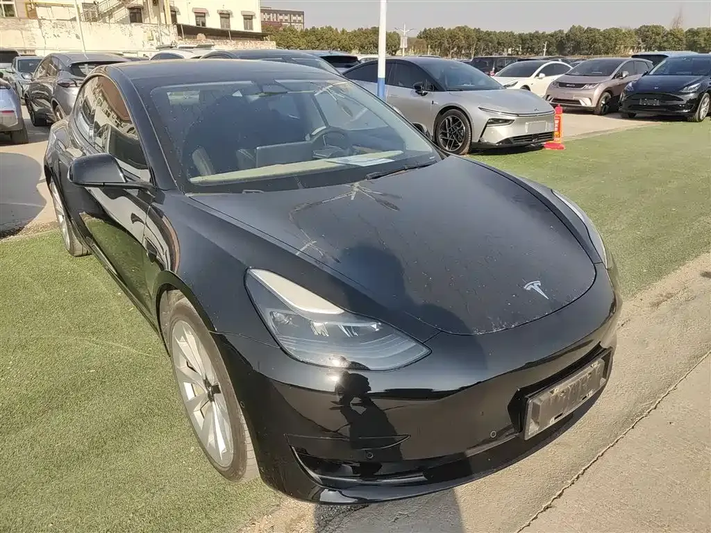 Tesla Model 3 2021 из CN, фото 3