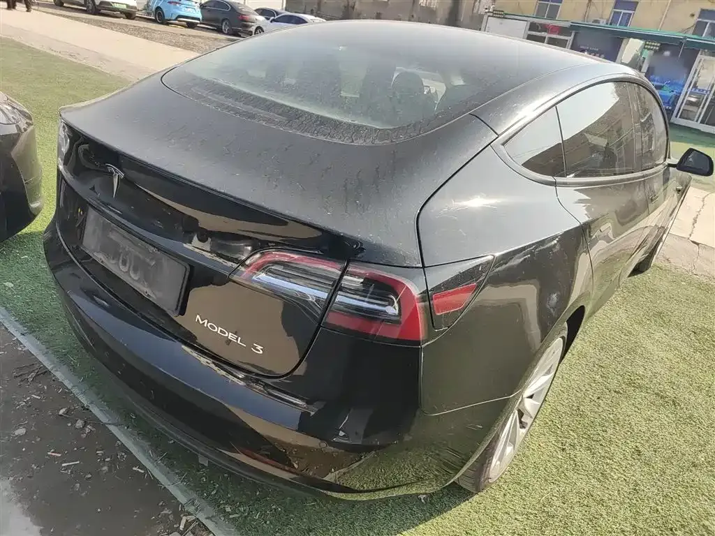 Tesla Model 3 2021 из CN, фото 8