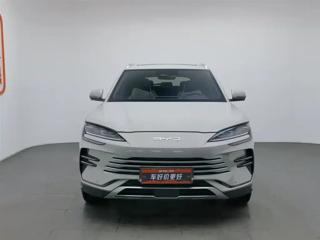 BYD PLUS New Energy 2024 из CN, фото 3