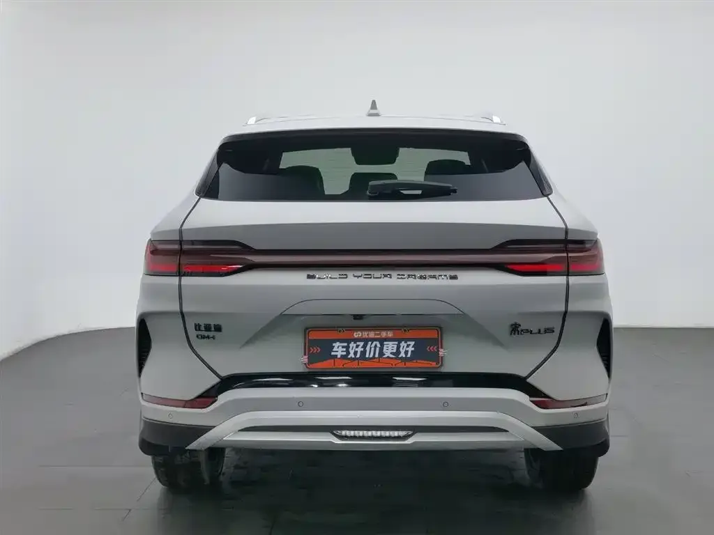 BYD PLUS New Energy 2024 из CN, фото 4