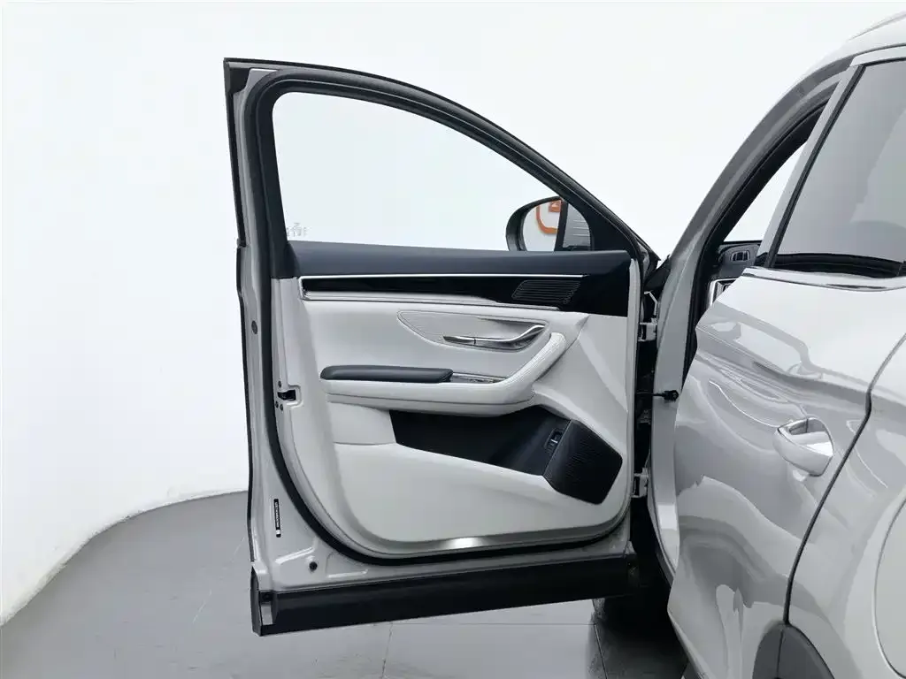 BYD PLUS New Energy 2024 из CN, фото 8