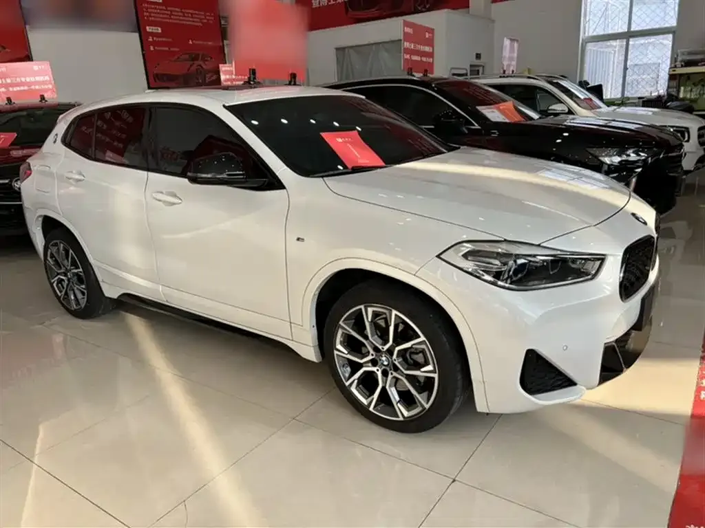 BMW X2 2022 из CN, фото 10