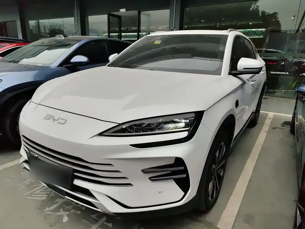 BYD PLUS New Energy 2025 из CN, фото 1