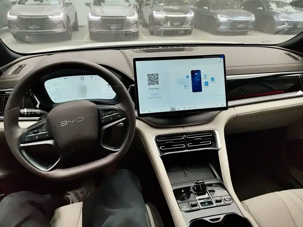BYD PLUS New Energy 2025 из CN, фото 10