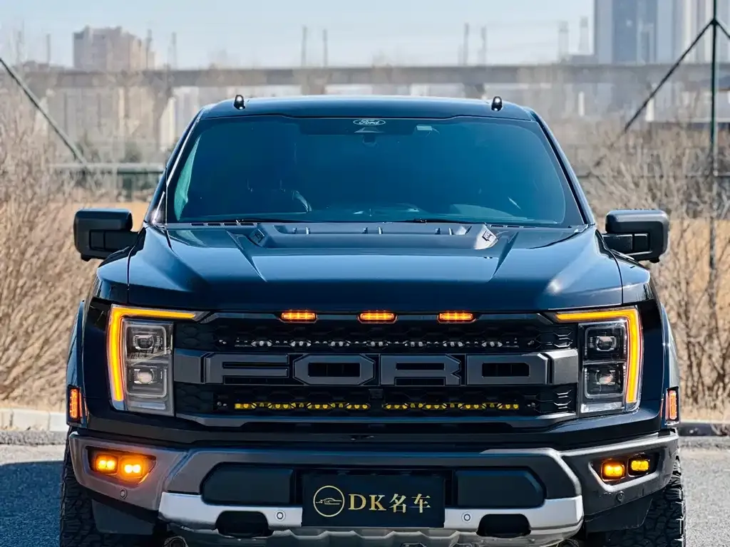 Ford F-150 Raptor 2023 из CN, фото 1