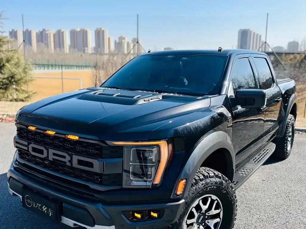 Ford F-150 Raptor 2023 из CN, фото 9