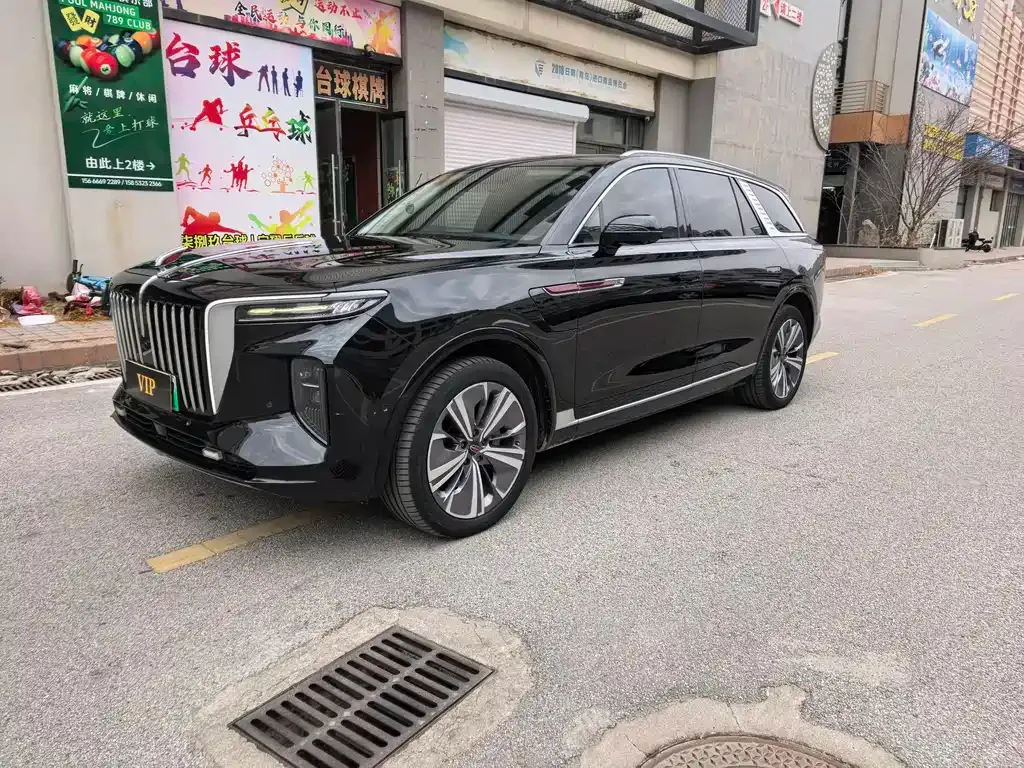 Hongqi E-HS9 2021 из CN, фото 1