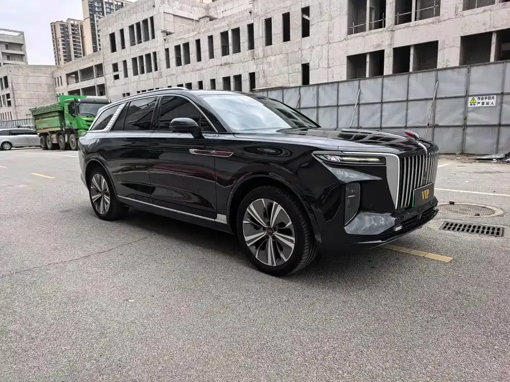 Hongqi E-HS9 2021 из CN, фото 9