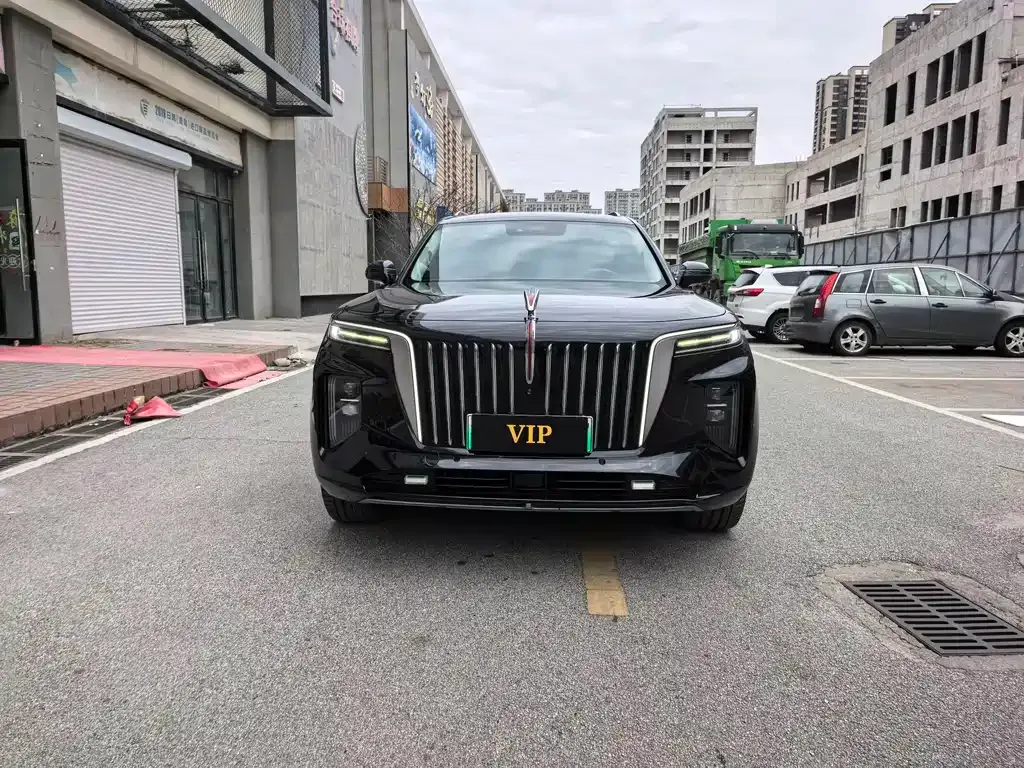 Hongqi E-HS9 2021 из CN, фото 3