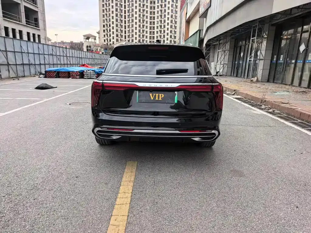 Hongqi E-HS9 2021 из CN, фото 10
