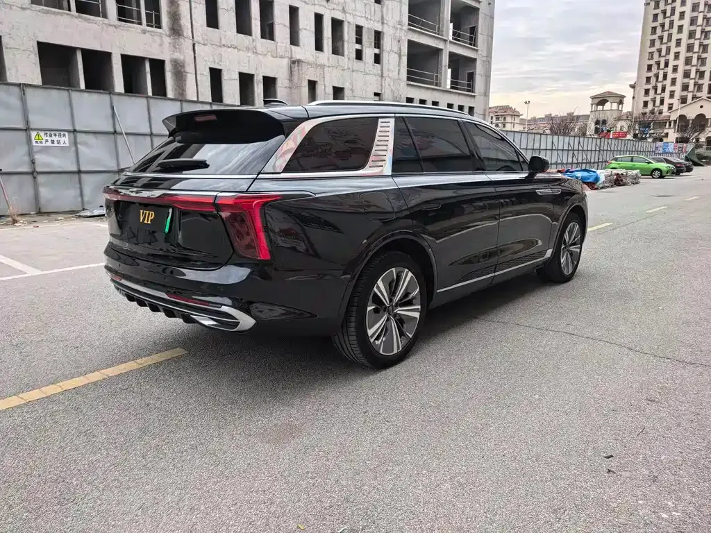 Hongqi E-HS9 2021 из CN, фото 8