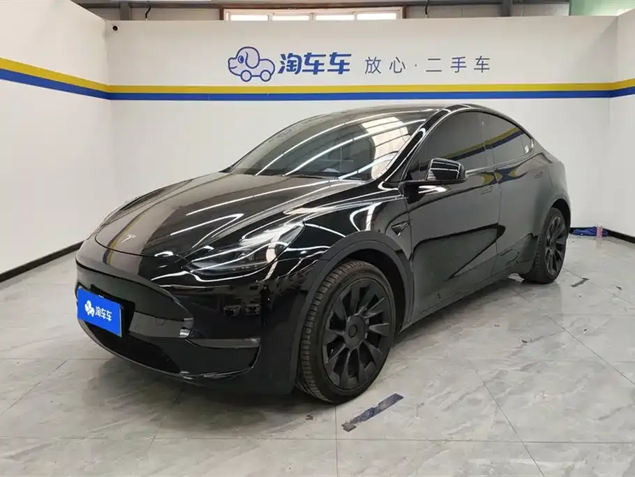 Tesla Model Y 2021 из CN, фото 1