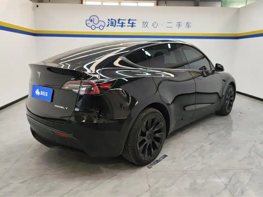Tesla Model Y 2021 из CN, фото 3