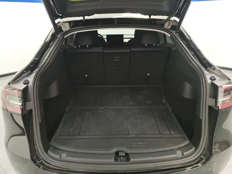 Tesla Model Y 2021 из CN, фото 4