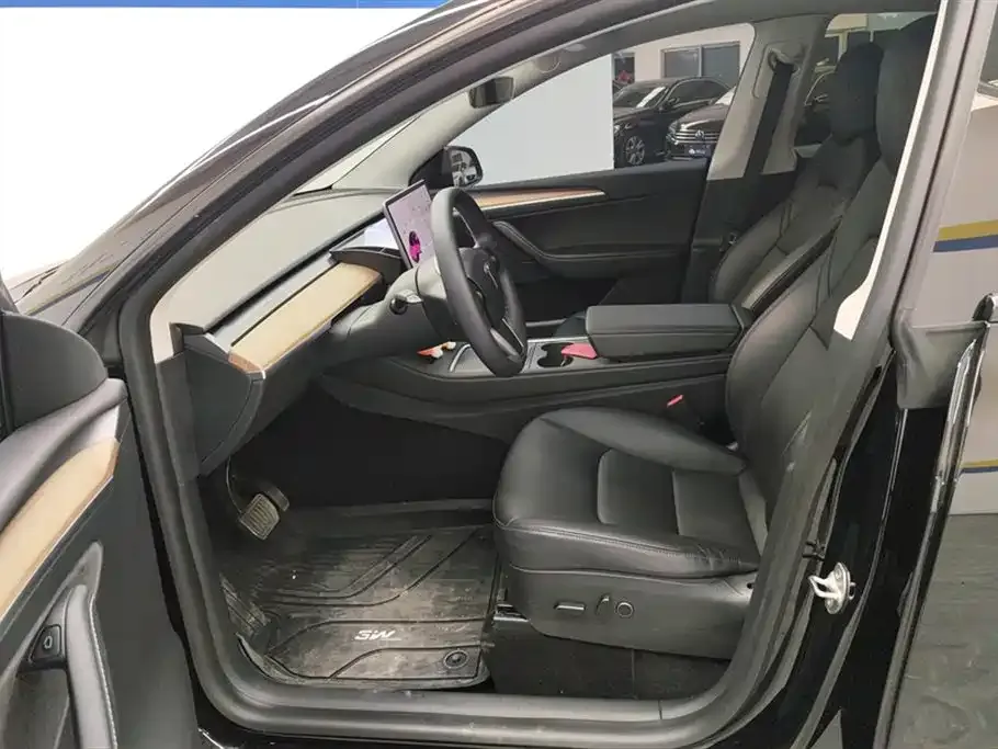 Tesla Model Y 2021 из CN, фото 9