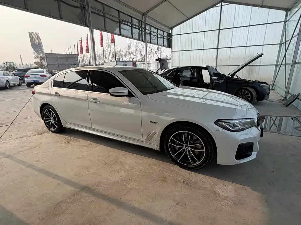 BMW 5 Series New Energy 2023 из CN, фото 6