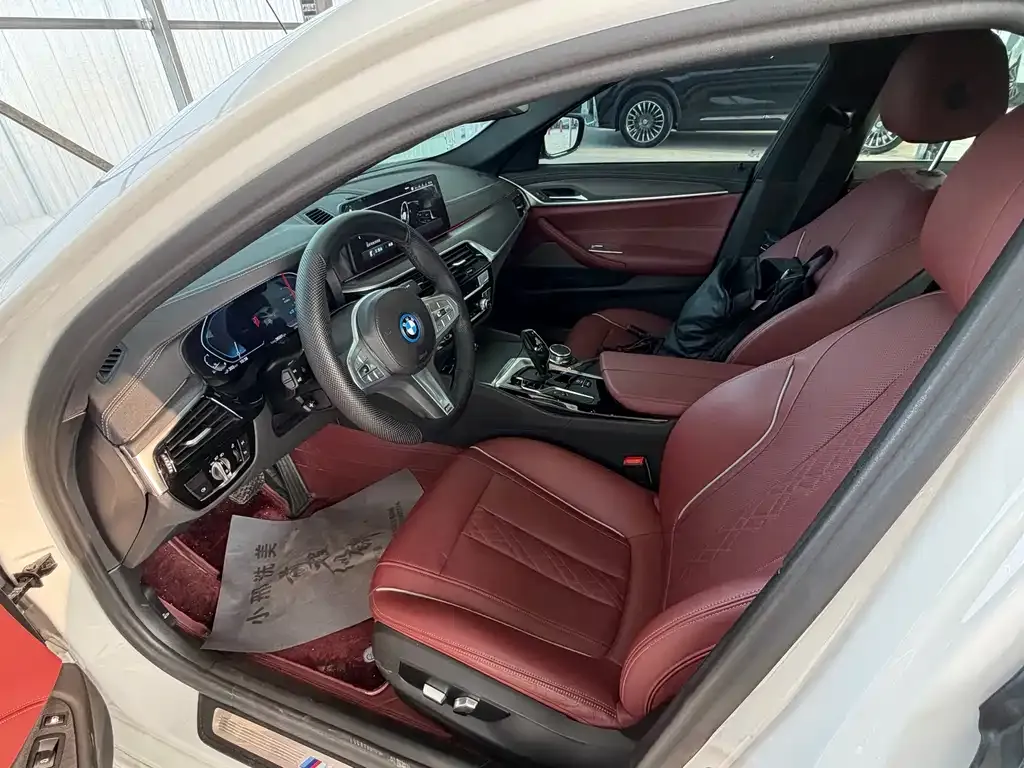 BMW 5 Series New Energy 2023 из CN, фото 7