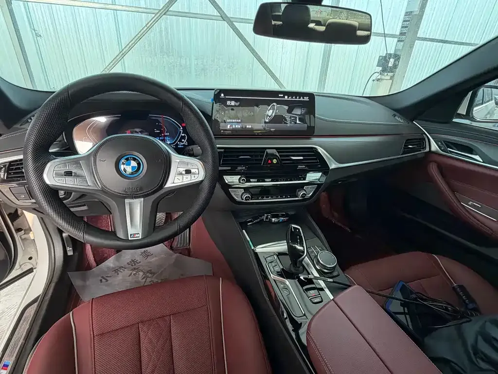 BMW 5 Series New Energy 2023 из CN, фото 8