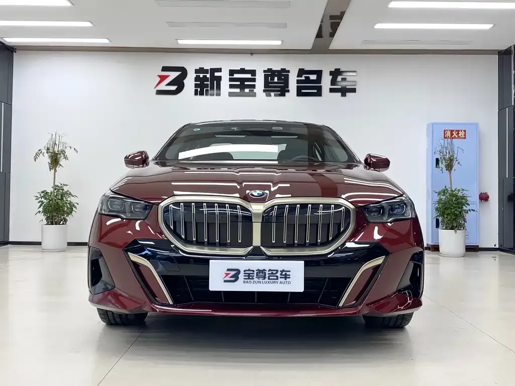 BMW 5 Series 2025 из CN, фото 6