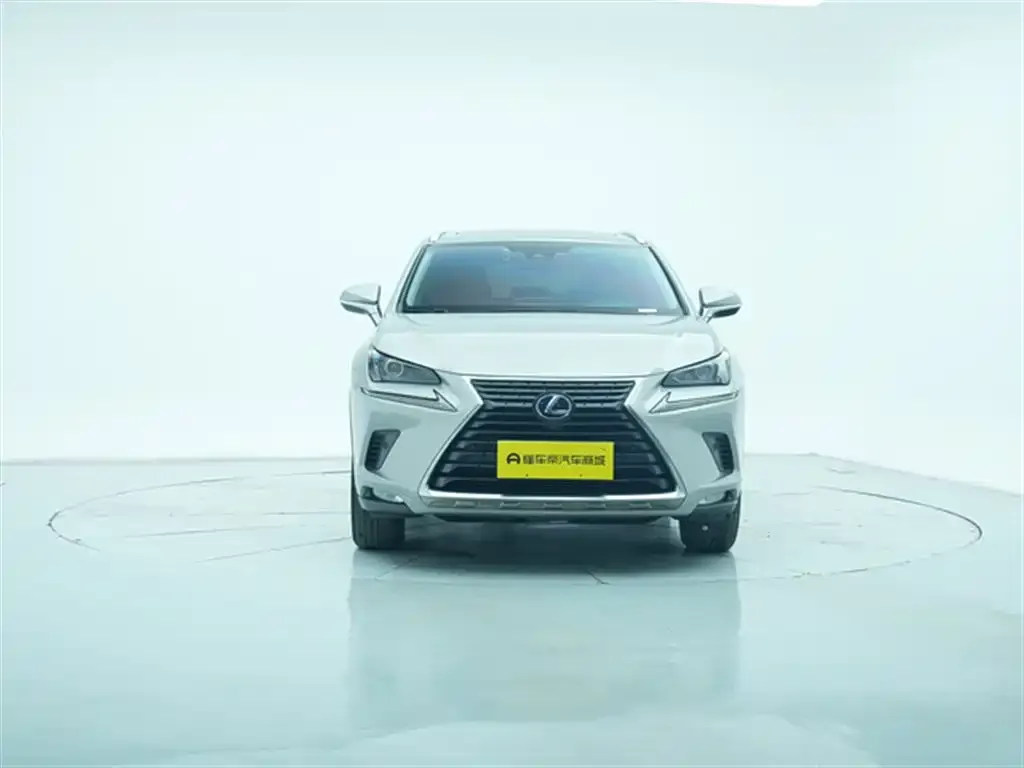 Lexus NX 2021 из CN, фото 3