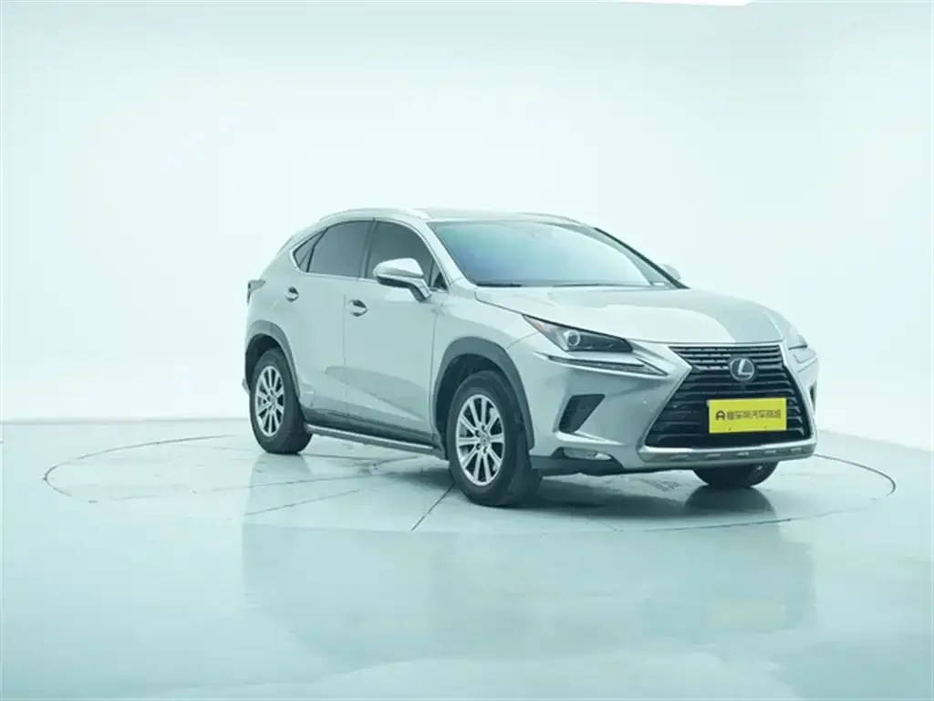 Lexus NX 2021 из CN, фото 2