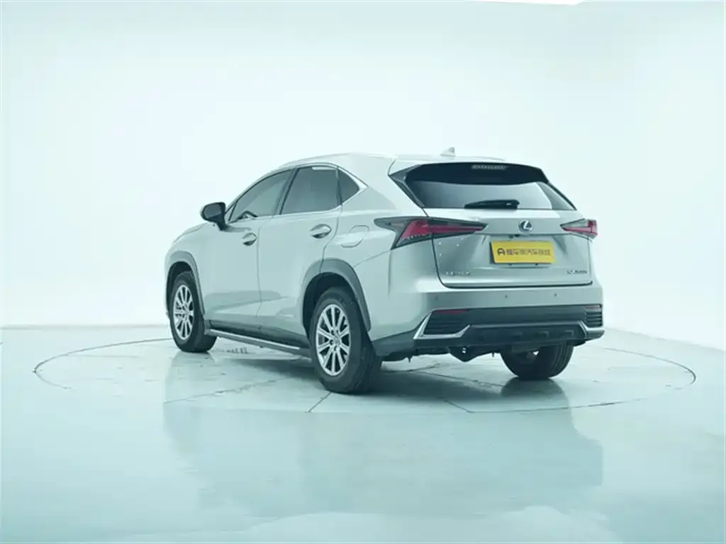 Lexus NX 2021 из CN, фото 9