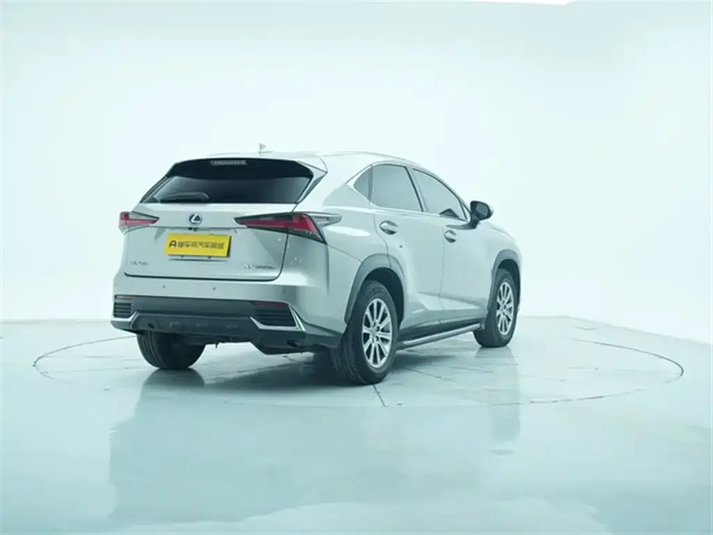 Lexus NX 2021 из CN, фото 7