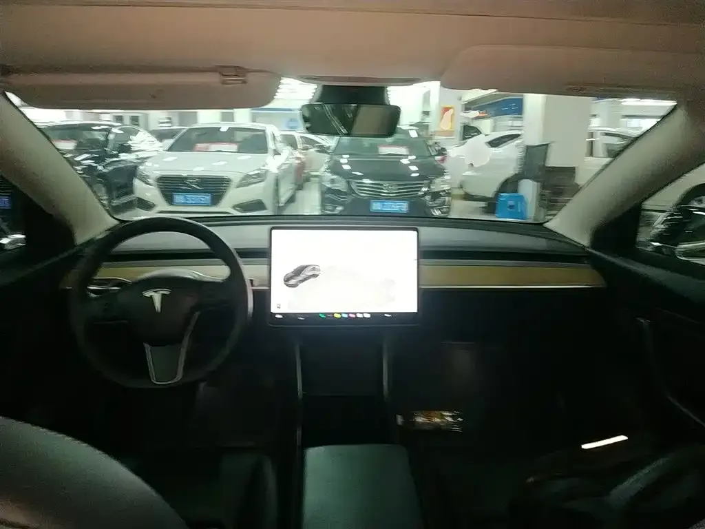 Tesla Model 3 2021 из CN, фото 9
