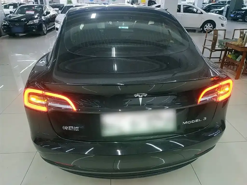 Tesla Model 3 2021 из CN, фото 7