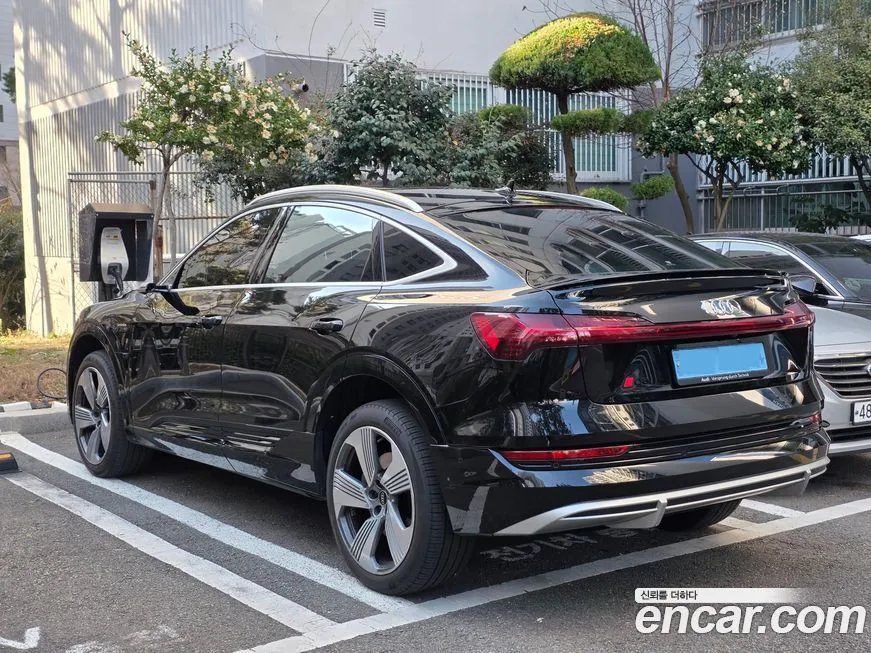 Audi e-tron 2021 из KR, фото 2