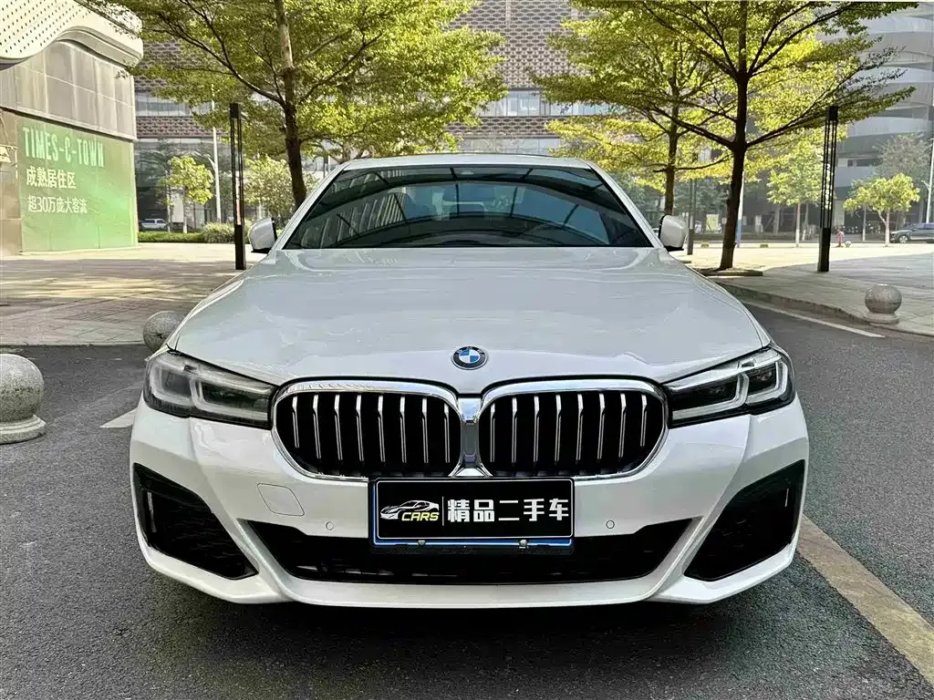 BMW 5 Series 2022 из CN, фото 4