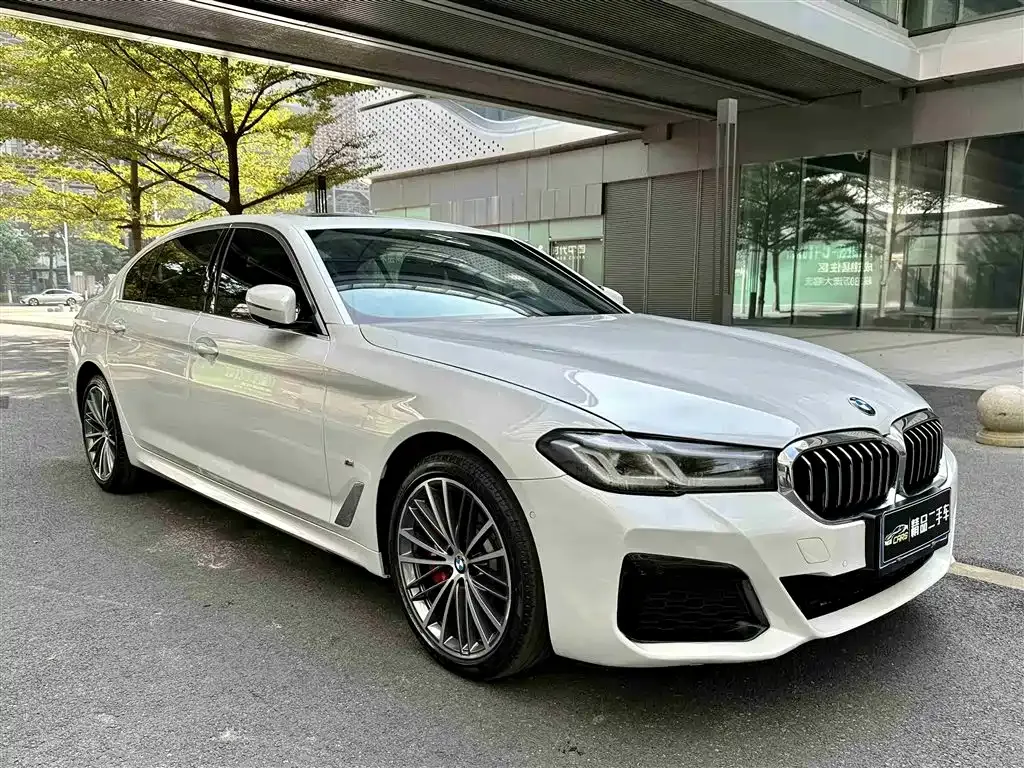BMW 5 Series 2022 из CN, фото 7