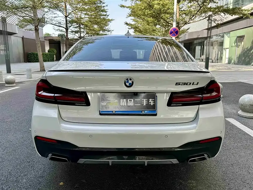 BMW 5 Series 2022 из CN, фото 9