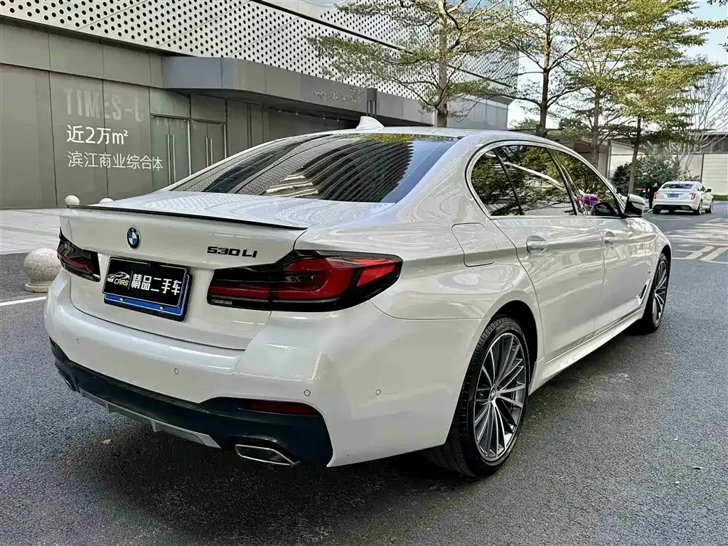 BMW 5 Series 2022 из CN, фото 5