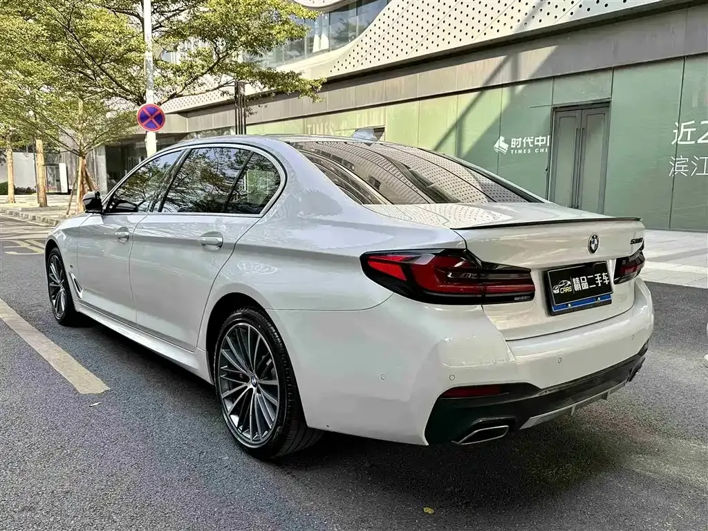 BMW 5 Series 2022 из CN, фото 8