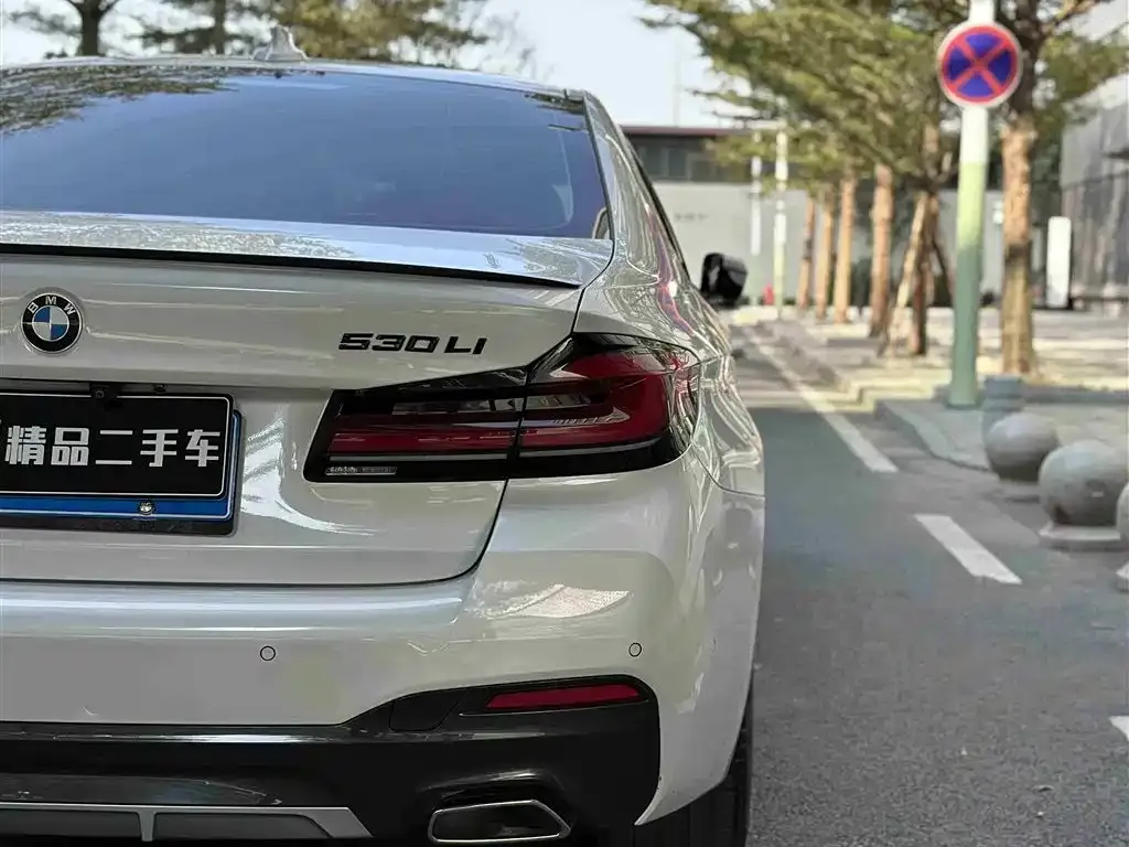 BMW 5 Series 2022 из CN, фото 3