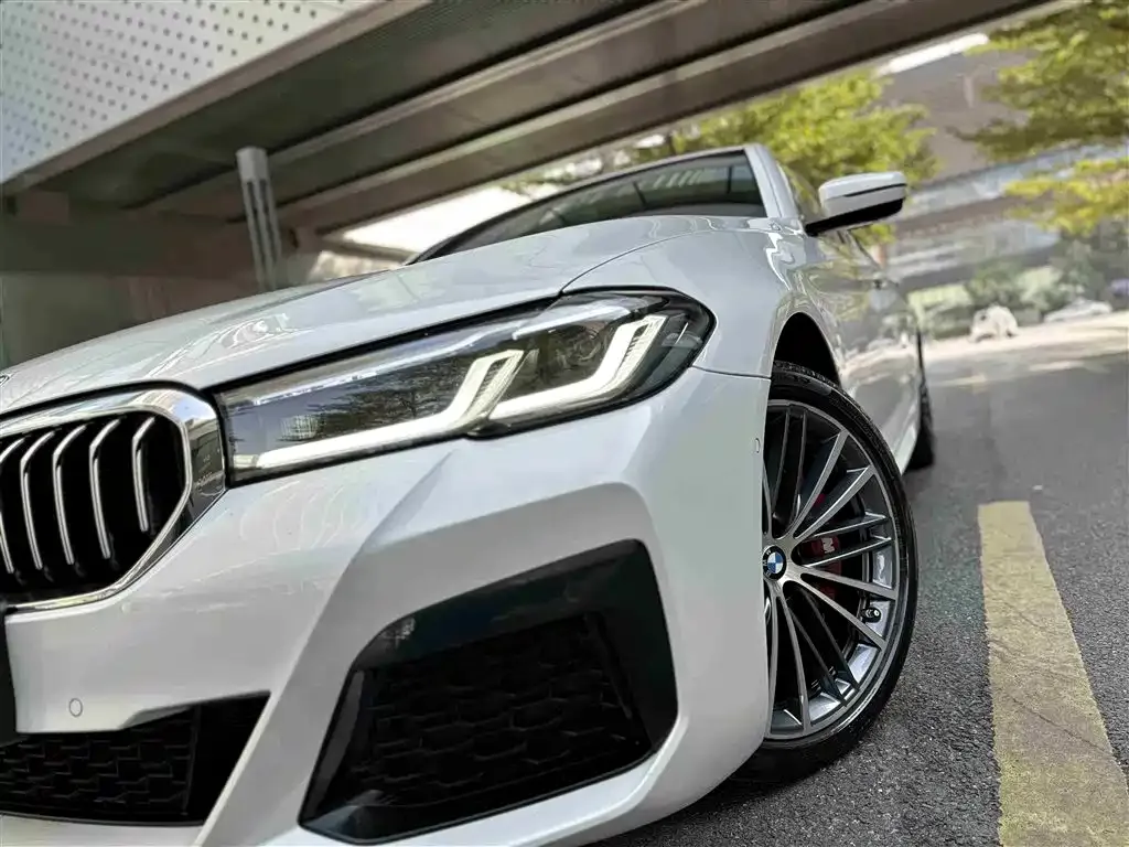BMW 5 Series 2022 из CN, фото 6