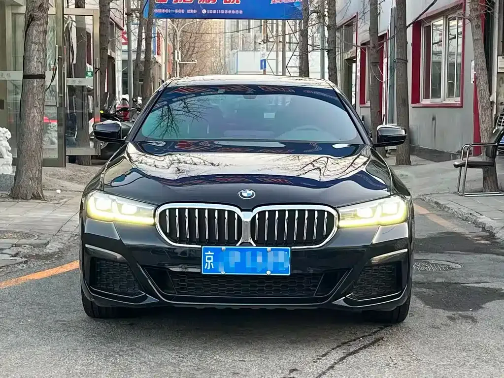 BMW 5 Series 2022 из CN, фото 7