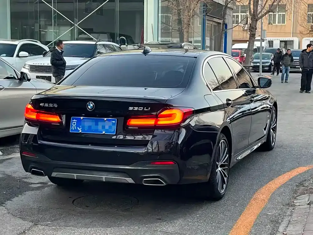 BMW 5 Series 2022 из CN, фото 6