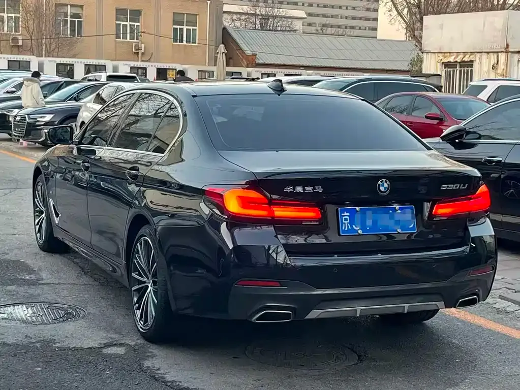 BMW 5 Series 2022 из CN, фото 10