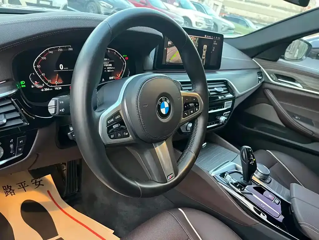 BMW 5 Series 2022 из CN, фото 4