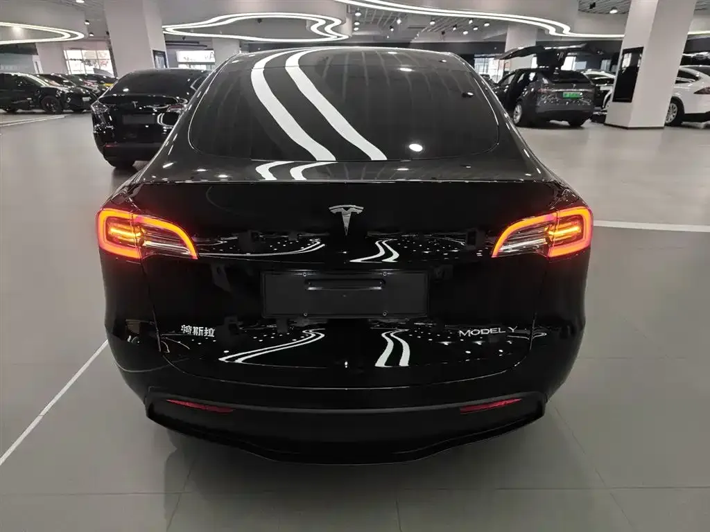 Tesla Model Y 2023 из CN, фото 6