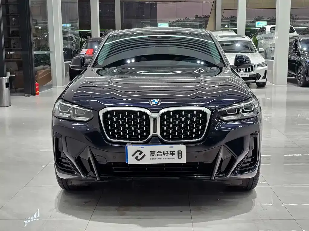BMW X4 2022 из CN, фото 2