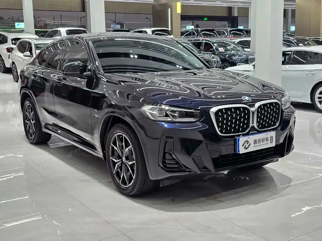 BMW X4 2022 из CN, фото 10