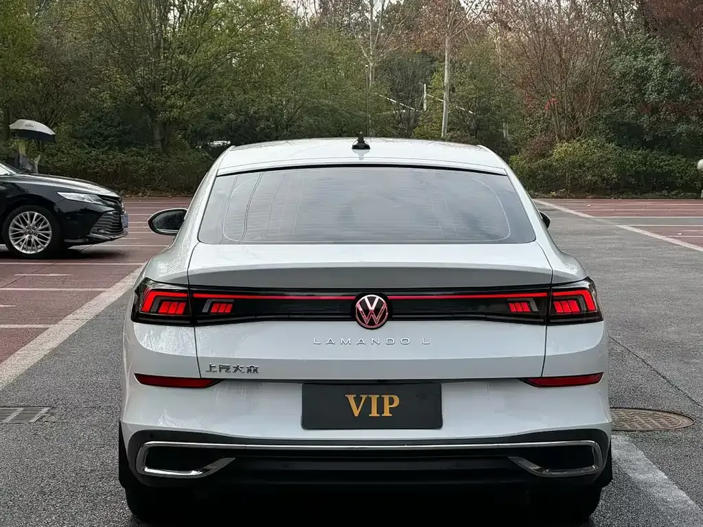 Volkswagen Lamando 2024 из CN, фото 4