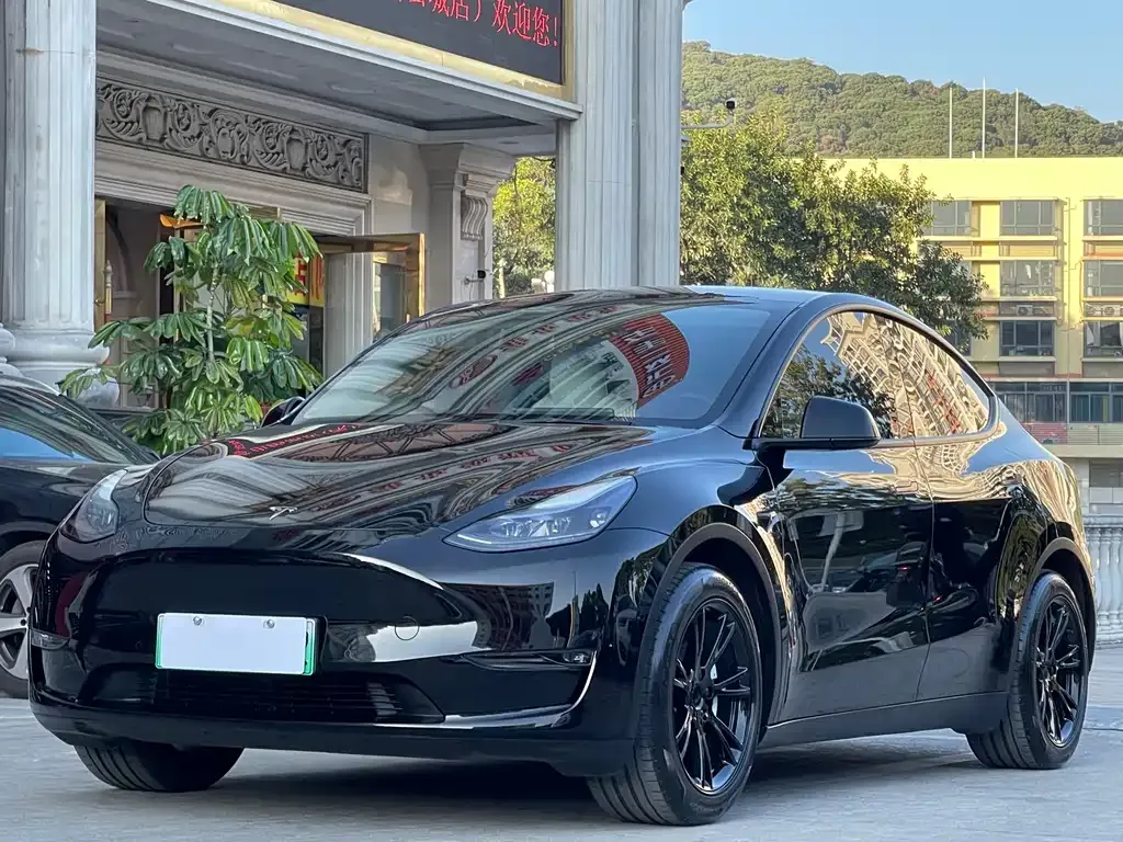 Tesla Model Y 2022 из CN, фото 1