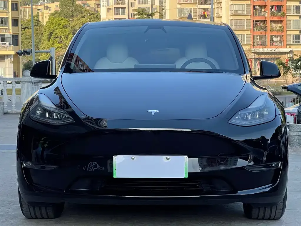 Tesla Model Y 2022 из CN, фото 2
