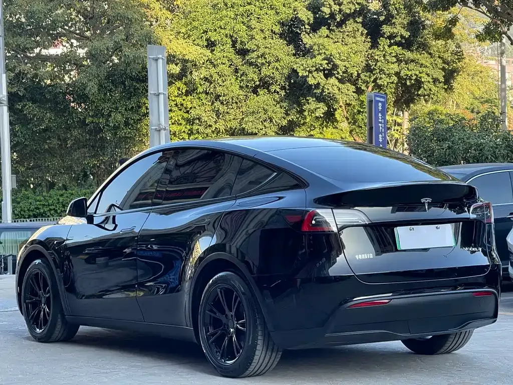 Tesla Model Y 2022 из CN, фото 6